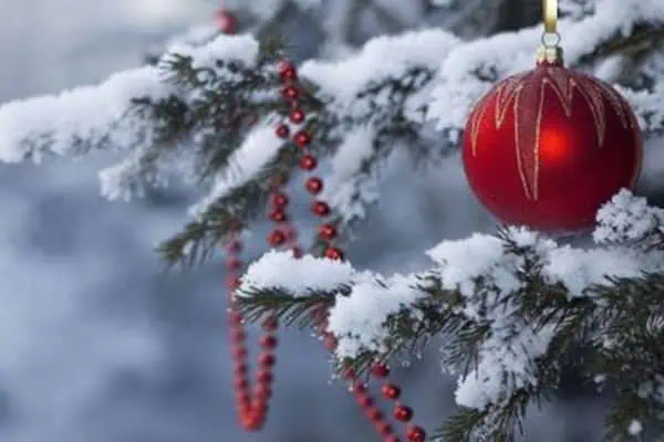 December Newsletter 2022