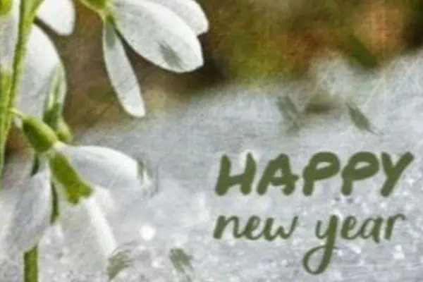 Jaunary Newsletter 2022